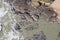 Water texture, rocks, sandy beach, ocean landscape