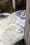 Water threshold on a small river in the forest. Waterfall on a n