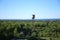 Water tower on the outskirts of the forest