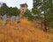 Water tower ruins of the HaHa Tonka Castle