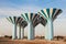 Water towers in Kuwait