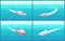 Water Transport Cruise Liners Yacht Set Vector