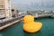 Water, transportation, bird, ducks, geese, and, swans, duck, city, waterfowl, inflatable, recreation, leisure