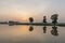 Water and Tree reflections during Sunset near paddy fileds of Kotpad,Odisha,India