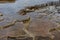 Water Trickles Over Steps of Volcanic Rock