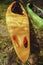 Water trip on kayaks. Yellow and green kayak. Kayaking on the river bank.