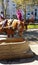 Water Trough, Horse and Carriage Rides in Central Park, NYC, NY, USA