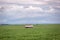 A water truck crossing a huge soybean farm
