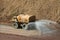 Water truck working at a rock quarry