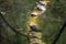 Water turtles line a log in a pond