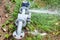 Water Valve Meter Leaking Spray Outdoors