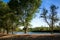 Water from the Verde River fills the lagoon, or marsh, at Dead Horse Ranch State Park near Cottonwood, Arizona