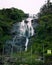 Water waterfall jungle forest background nature