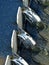 Water through a weir after biological treatment in a wastewater treatment plant