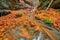 Water whirl in Tajovska dolina gorge near Tajov village during autumn