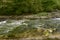 Water whirlpools of Wutach river among trees, Germany