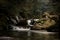 Water of the wild moutain river falling from the moss covered stones