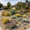 Water-wise Landscaping - Drought-resistant Garden or Landscape that Reduces Water Consumption