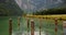 Water and wooden mooring posts at the lake