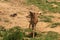 Waterbuck at Boteilierskop