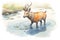 a waterbuck crossing the river bravely