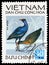 Watercock Gallicrex cinerea, Birds serie, circa 1972