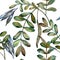 Watercolo green acacia leaves. Leaf plant botanical garden floral foliage. Seamless background pattern.