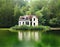 Watercolor of Abandoned and overgrown house in the forest