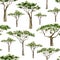 Watercolor Africa trees for baby. Hand drawn seamless pattern illustration of nature Acacia.