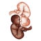 Watercolor African American and Caucasian babies