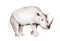 Watercolor African rhipo animal rhinoceros isolated on white background. Savannah wildlife cartoon zoo safari poster
