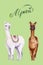 Watercolor alpacas with calligraphic inscription. Colorful illustration isolated on green. Hand painted animals