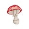 Watercolor amanita mushroom clipart