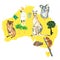 Watercolor animals on australia map. Australian kangaroos set kids illustration.