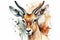 Watercolor antelope illustration on white background