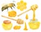 Watercolor apiculture set. Hand drawn bee, honey jar, dipper spoon, honeycomb. Illustration isolated on white background for