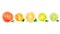 Watercolor appearance animation of the grapefruit, mandarin, orange, citrus, lemon and lime on the alpha channel.