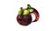 Watercolor appearance animation of the mangosteen on the alpha channel.