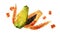 Watercolor appearance animation of the papaya on the alpha channel.