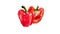 Watercolor appearance animation of the red pepper on the alpha channel.