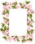 Watercolor apple blossoming tree frame isolated on white. Hand drawn floral corner wreath with flowers, leaves and buds. Perfect