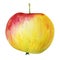 Watercolor Apple on a white background, Hand-drawn painted apple.