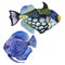 Watercolor aquatic underwater colorful tropical fish set. Red sea and exotic fishes inside.