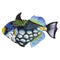 Watercolor aquatic underwater colorful tropical fish set. Red sea and exotic fishes inside.