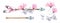 Watercolor arrows and flowers. Collection of separate elements. Banner with tribal boho feathers, transparent roses