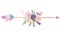 Watercolor Arrows Flowers Floral Painted Bouquet Feathers Berries