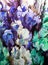 Watercolor art background blue violet iris flowers bouquet vivid