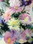 Watercolor art background colorful flowers asters