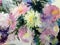 Watercolor art background colorful flowers asters