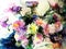 Watercolor art background delicate colorful nature botanical fresh romantic flowers asters bouquet
